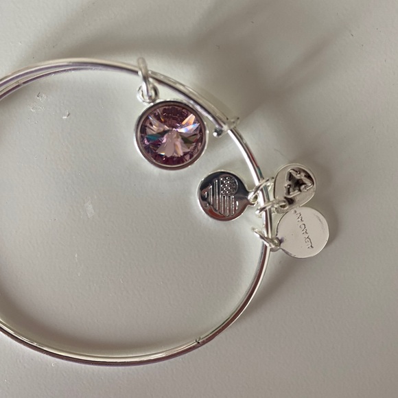 Alex and Ani charm bracelet - Picture 4 of 4
